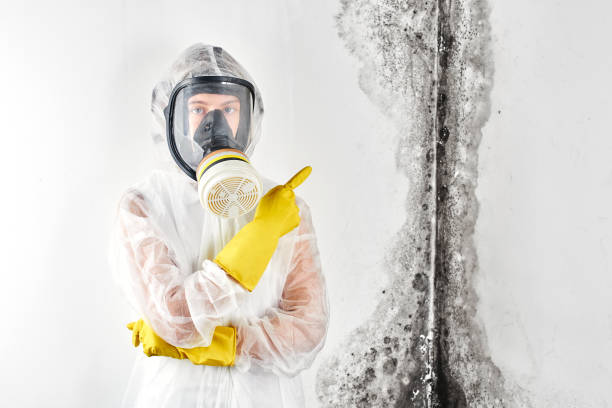 Best Asbestos and Lead Testing During Mold Inspection in USA